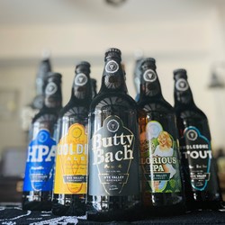 Image of 12x500ml Mixed Case of Ales