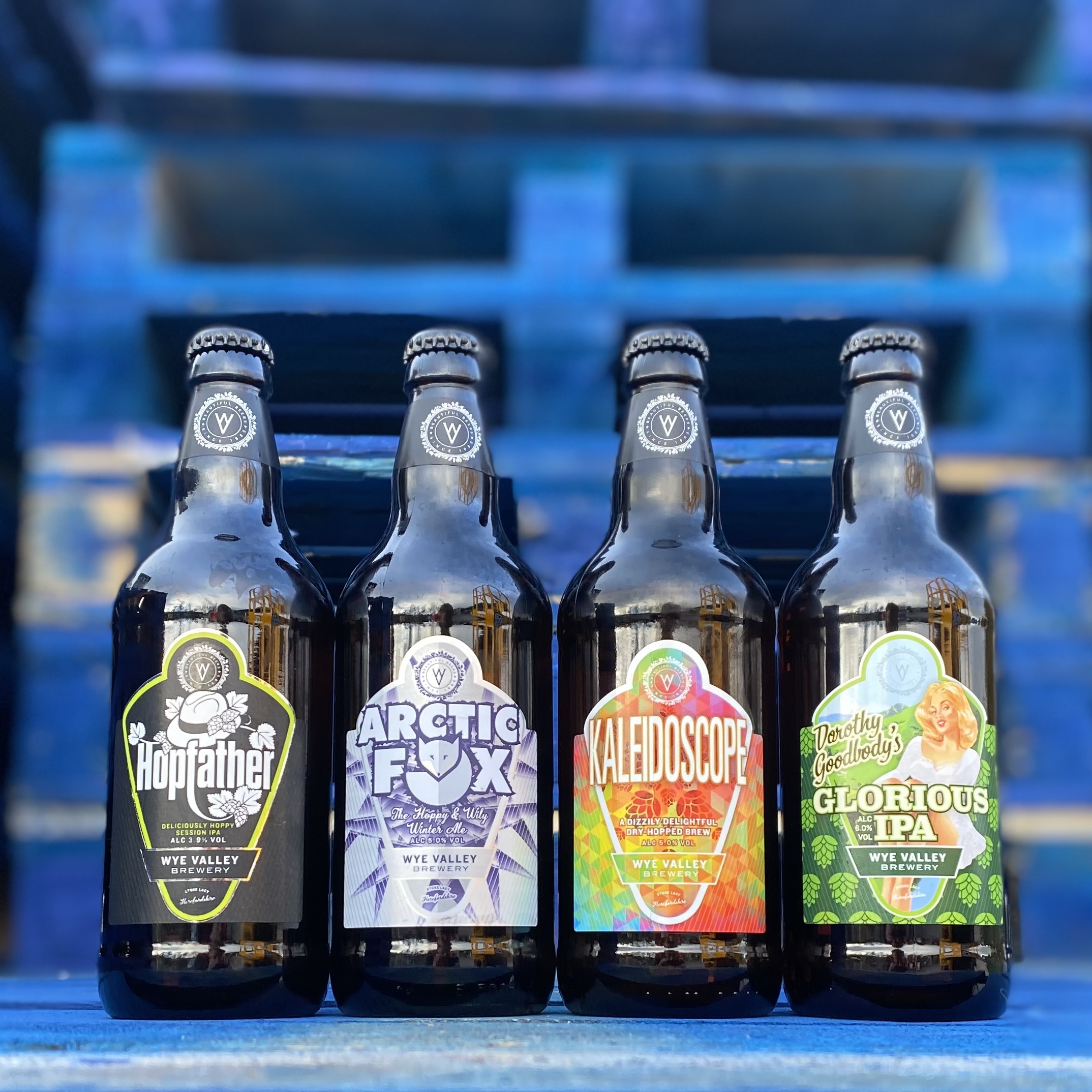 Hoptastic Mixed Case!