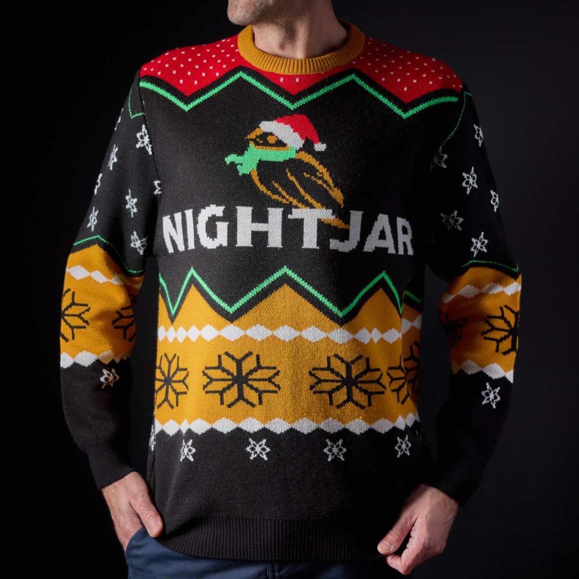 Image of Nightjar Christmas Jumper