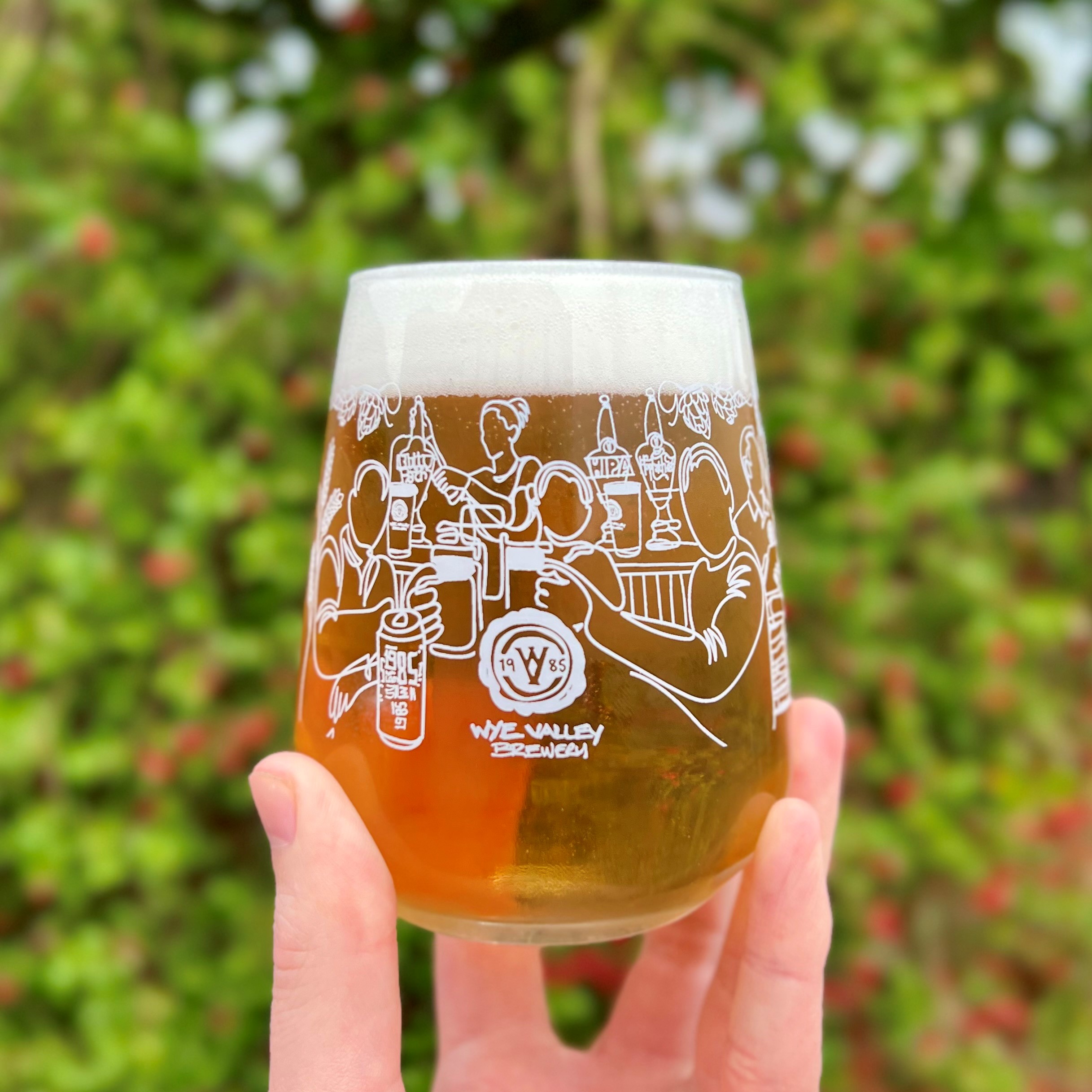 Image of 6 x Tumbler glasses